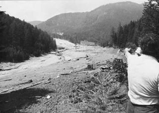 19 luglio 1985: 40 anni fa l'onda di fango devastava la Val di Stava, sulle Alpi. Quali le cause della catastrofe?