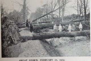 1903 Storm Ulysses brought some of strongest ever winds to British Isles