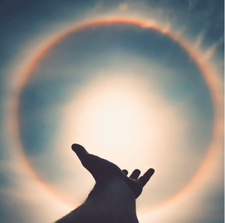 Halo lunar
