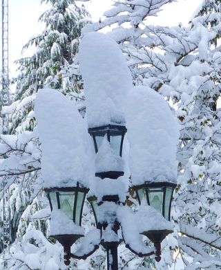 Sombreros de nieve para farolas