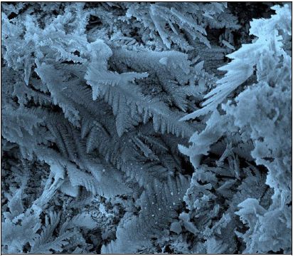 Naturaleza inerte invernal Premio Votación Popular Categoría Micro de Teresa Cebriano Ramírez