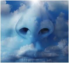 Modificación de directivas europeas de la calidad del aire