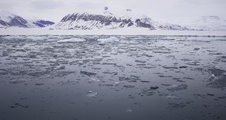 El CO2 tiene un efecto fertilizante a bajas temperaturas en el Ártico
