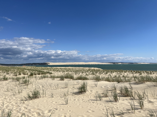 1ère quinzaine de septembre : les fortes chaleurs en embuscade, une canicule va-t-elle toucher la France ? 