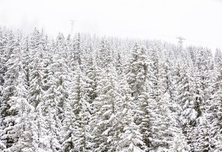 1ères neiges de la saison : plus de 50 cm tombés ce week-end !