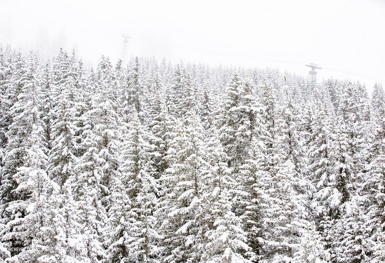 1ères neiges de la saison : plus de 50 cm tombés ce week-end ! 1ères neiges de la saison : plus de 50 cm tombés ce week-end !