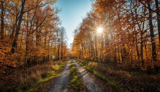 20&deg;C de pr&eacute;vu sur le pays pour la journ&eacute;e de mardi 27 octobre ! Le printemps qui s'installe de nouveau ?