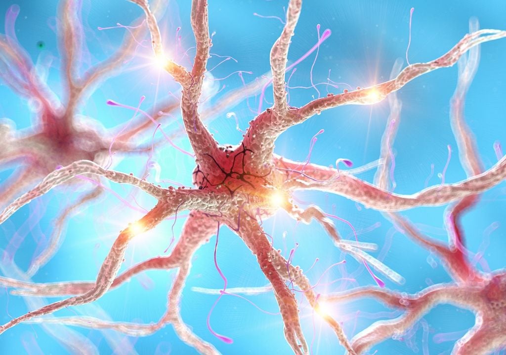 neuronas neuronas