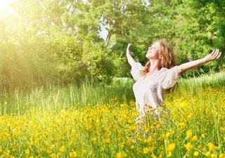 Today is 20 June, "Yellow Day": Why is it considered the happiest day of the year?