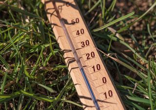 Fast 20°C am nächsten Samstag? Irrer Wetterwechsel möglich.