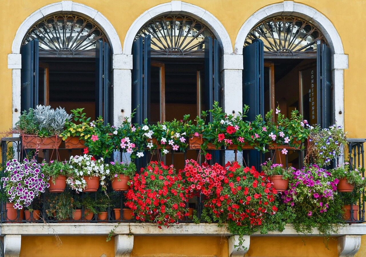 Un balcone fiorito tutta l'estate: un sogno per tutti gli amanti del giardinaggio
