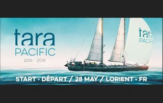 200.000 nuevos virus en los océanos