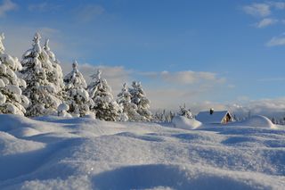 ¿Adónde se fue toda la nieve?