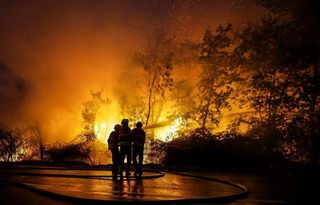 2017 – ano trágico em Portugal devido aos incêndios florestais