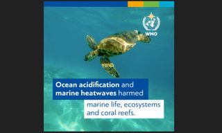 2019 pone punto final a una década marcada de calores excepcionales