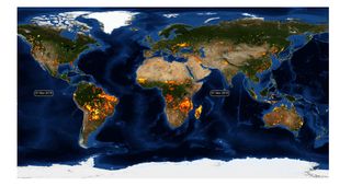 2019, un año de incendios