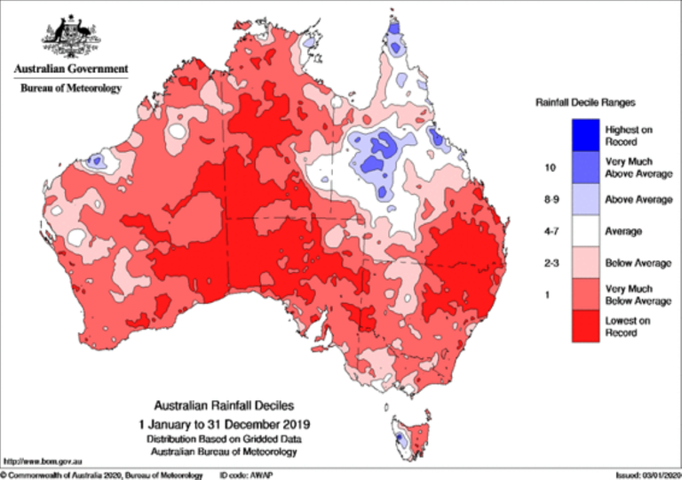2019 Was The Warmest And Driest On Record In Australia