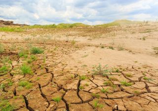 2020 acaba con déficit de lluvias: ¿Cuántos años suma la megasequía?