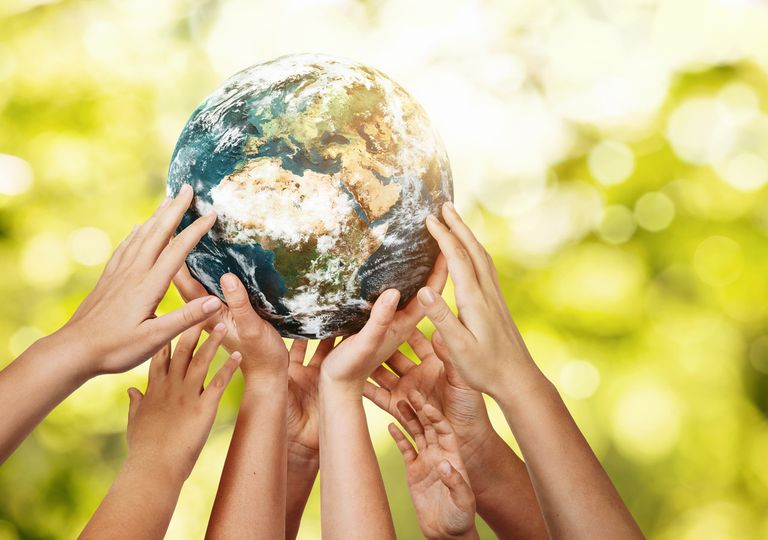 2020 bonnes nouvelles planète 2020 bonnes nouvelles planète
