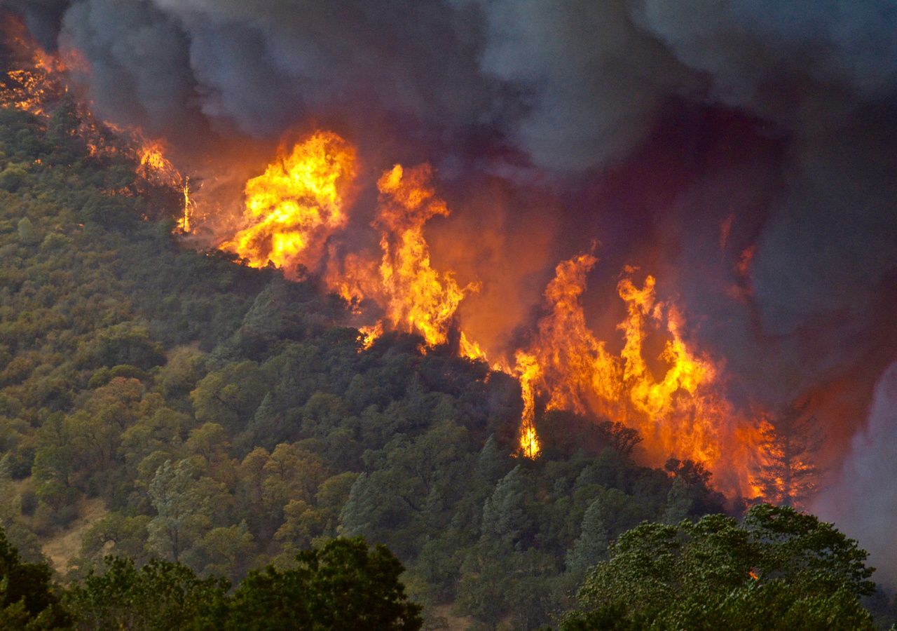 2020 figure parmi les trois années les plus chaudes jamais enregistrées avec +1,25°C par rapport à l'ère préindustrielle !