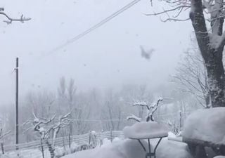 Il 2021 è iniziato con tanta neve su Alpi e Appennini: i video