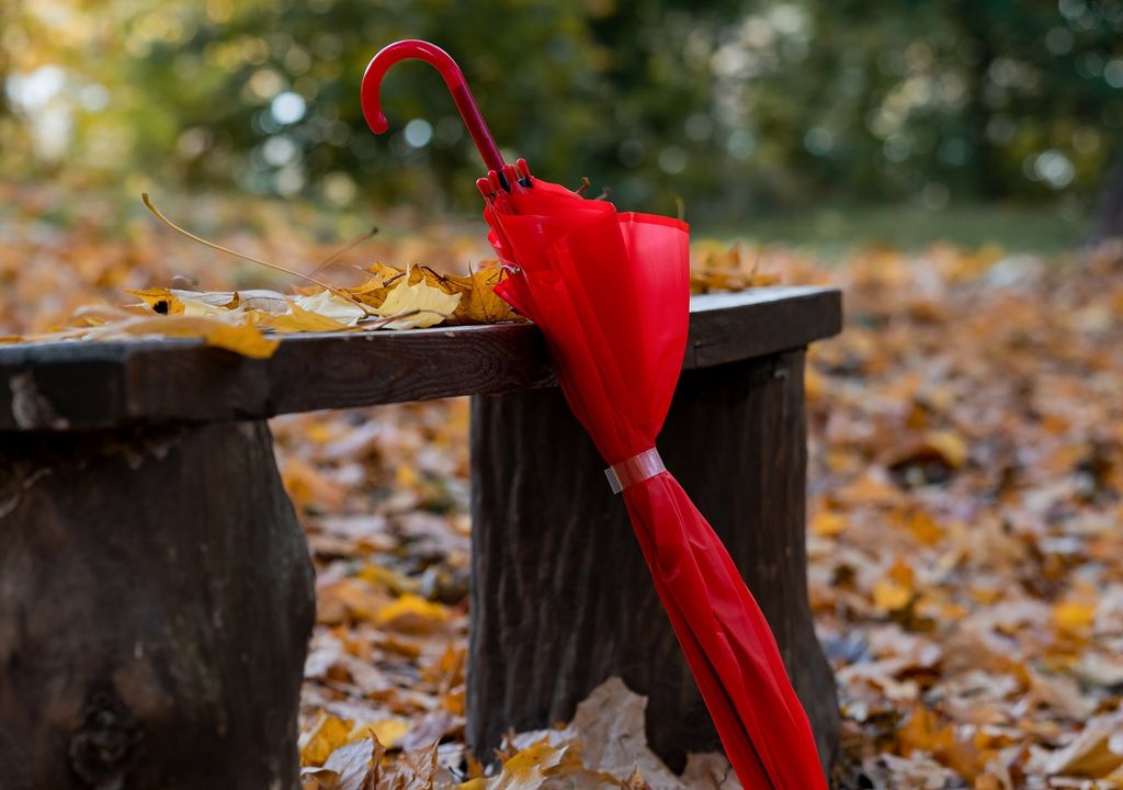 Paraguas rojo cerrado; parque en otoño
