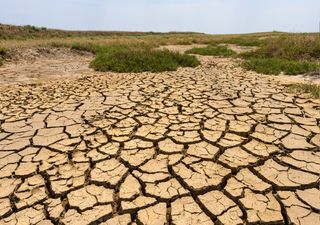 2022 could be one of the driest years in mainland Portugal