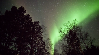 Árboles, estrellas y auroras