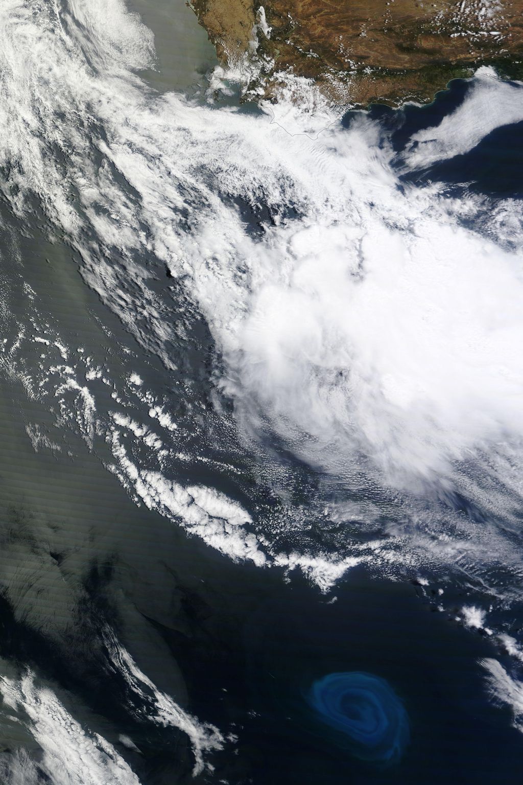 Imagen del MODIS del 26 de diciembre de 2011. El remolino de placton se encuentra a 800 km al sur de África del Sur.