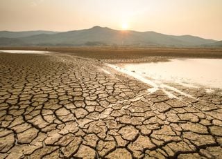 2050: 5 mil millones de personas ya no tendrán acceso al agua potable