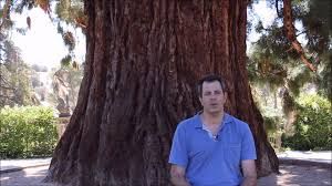 Cronología de los registros meteorológicos