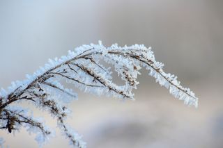 La ola de frío de febrero de 2012 en Francia