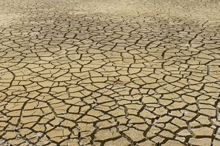La Organización Meteorológica Mundial celebra la elección del nuevo Presidente del Grupo Intergubernamental de Expertos sobre el Cambio Climático