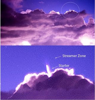 Raro “blue starter”