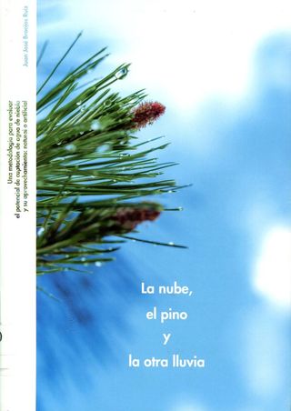 La nube, el pino y la otra lluvia