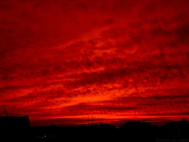 Amanecer ( 8ª Posición )