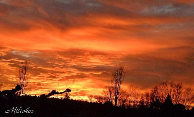 Hasta en diciembre arde el cielo ( 8ª Posición )
