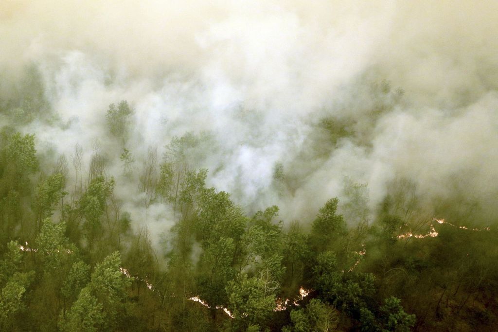 Incendio forestal fotografiado desde un helicóptero de la BNPB (Agencia Nacional para la Gestión de Desastres) sobre Langgam, en el Distrito de Riau en la isla de Sumatra, el 23 de septiembre de 2015. Crédito: Reuters / Regina Safri /Antara Foto