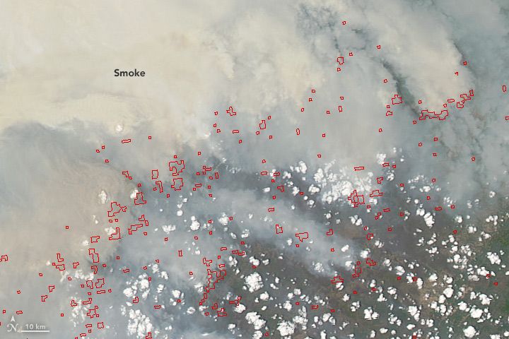 Humo y focos de incendios en la isla de Borneo. Detalle de la fotografía superior situado en la parte inferior. Imagen tomada por el espectroradiómetro MODIS del satélite Aqua de la NASA, el 19 de octubre de 2015.