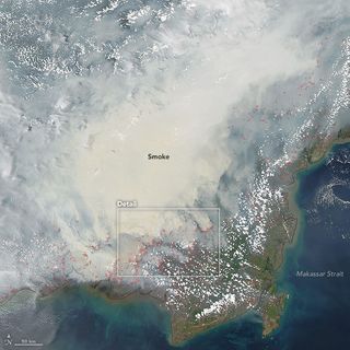 Las intensas humaredas sobre Borneo