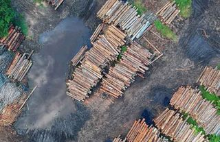 212 activistas ambientales asesinados en 2019: triste récord