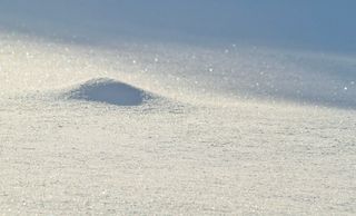 Imagen única: remolinos de hielo en el Golfo del San Lorenzo