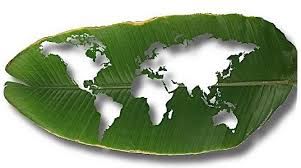 España con el Fondo Verde para el Clima