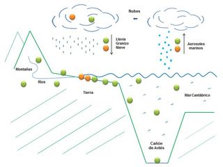 Bacterias con potencial terapéutico en el agua de lluvia