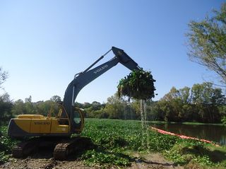 Lucha contra el camalote en el río Guadiana