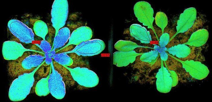 Fluorescencia en el laboratorio