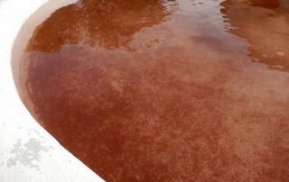Lluvia de "sangre" en Zamora