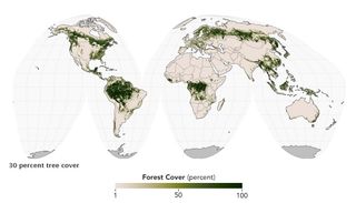 ¿Eso es un bosque? Eso depende de cómo lo definas