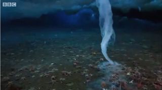 El dedo helado de la muerte: el Brinicle