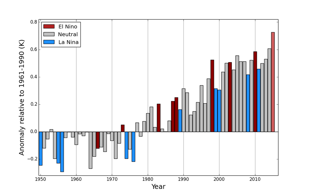 Figura 2: Anomalías del promedio mundial anual de la temperatura (respecto del período 1961?1990) entre 1950 y 2014, sobre la base de una media de tres conjuntos de datos sobre temperaturas mundiales (HadCRUT.4.4.0.0, GISTEMP y NOAAGlobalTemp). La media de 2015 se basa en datos de enero a octubre. El color de las barras indica si un año se ha clasificado como año de El Niño (rojo), año de La Niña (azul) o año neutro en términos de El Niño/Oscilación del Sur (ENOS) (gris). Cabe señalar que los intervalos de incertidumbre no se muestran, pero son de aproximadamente 0,1 ºC.